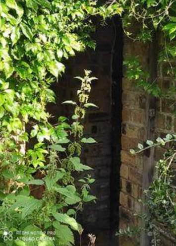 Shelter in an Edinburgh garden.  Courtesy of Christine Wood,  ‘Shotts History’, FB