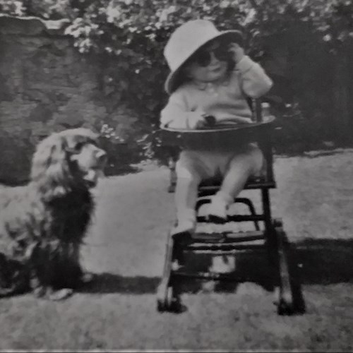 Kenneth Macaldowie Aged 1 In 1945 With Spaniel Snaps In The Back Garden At Aberdeen